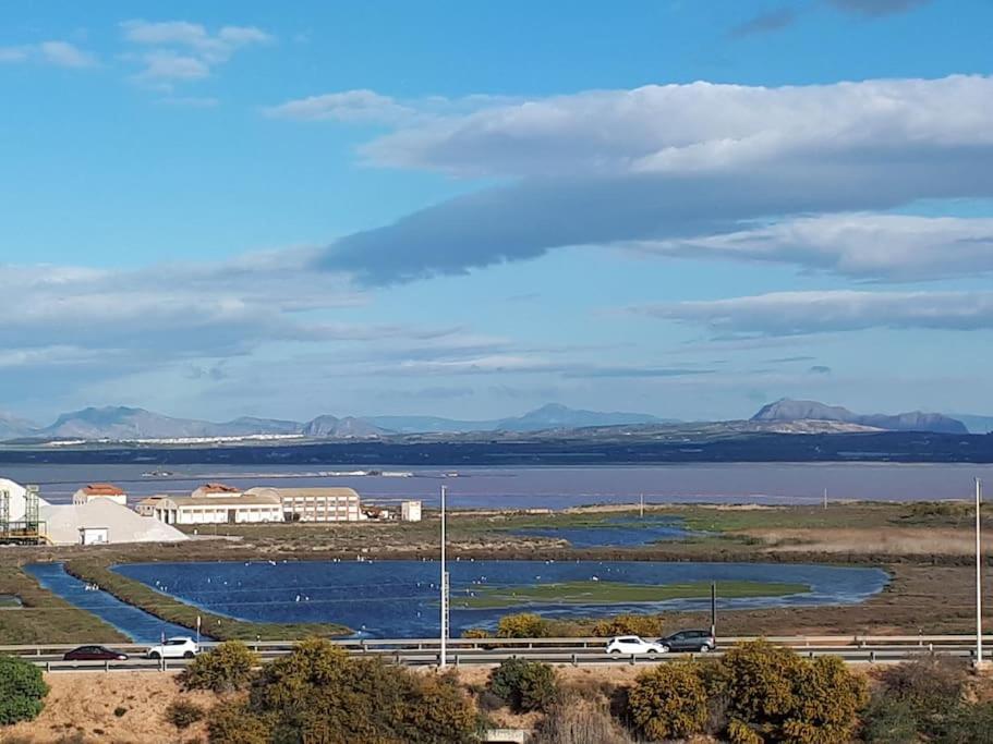 Apartament Flamingo Z Basenem Torrevieja Exteriér fotografie