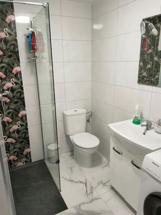 Apartament Flamingo Z Basenem Torrevieja Exteriér fotografie