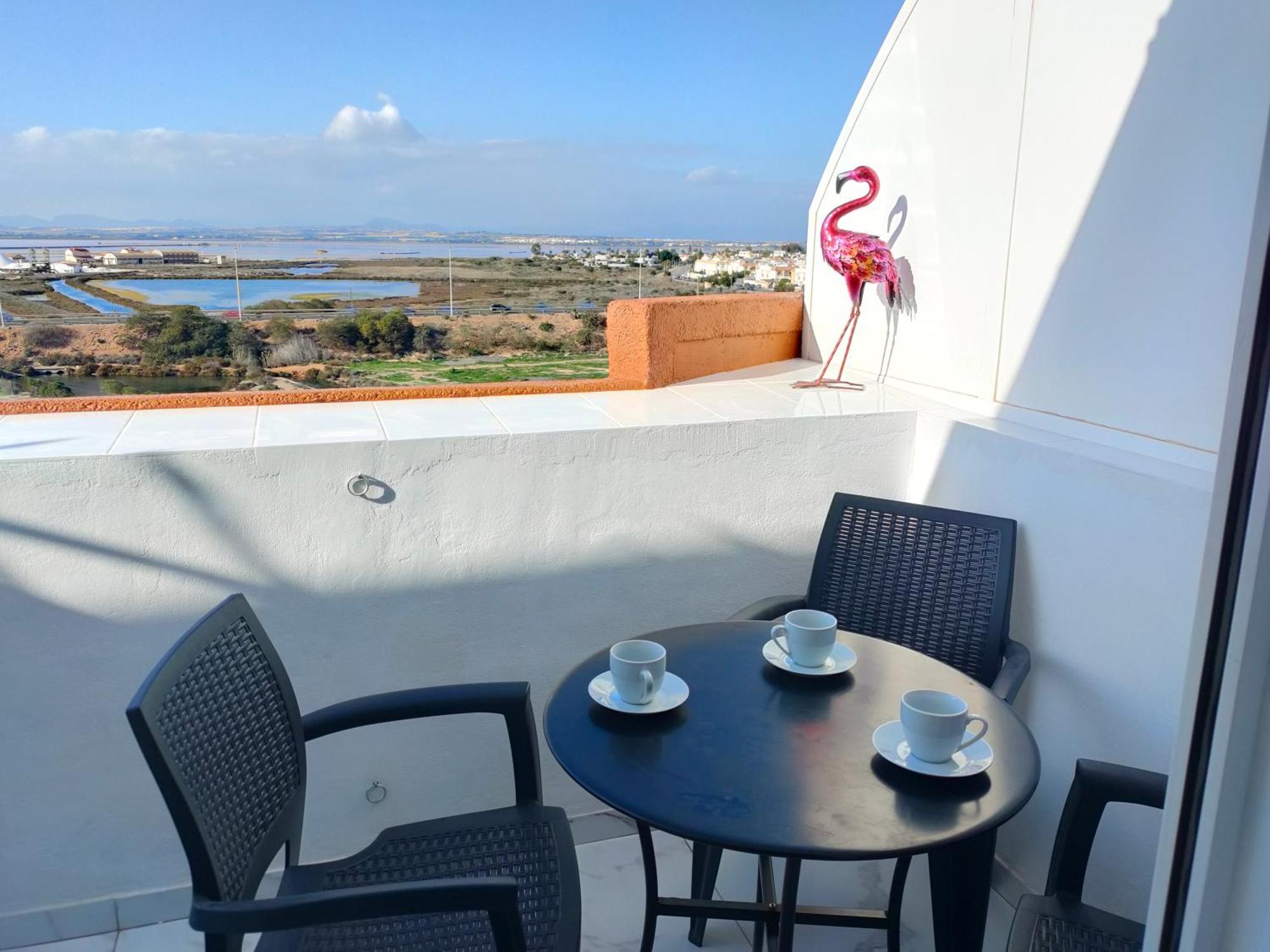 Apartament Flamingo Z Basenem Torrevieja Exteriér fotografie